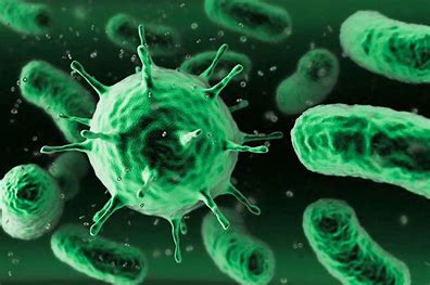 Infection Control and Prevention Level 2